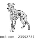 Greyhound Dog Doodle 23592785