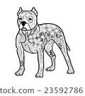 Pitbull dog doodle 23592786