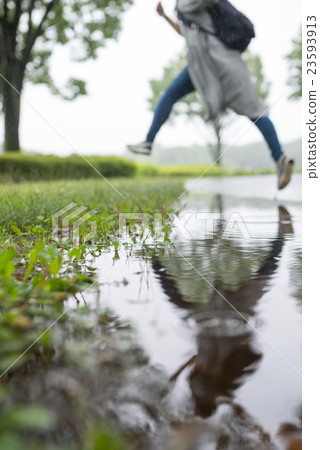 雨 23593913