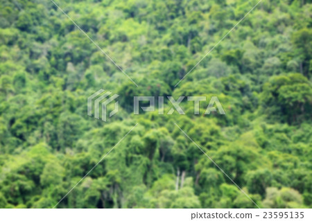 Tropical green forest blurred texture background. Tropical green forest blurred texture background. 23595135
