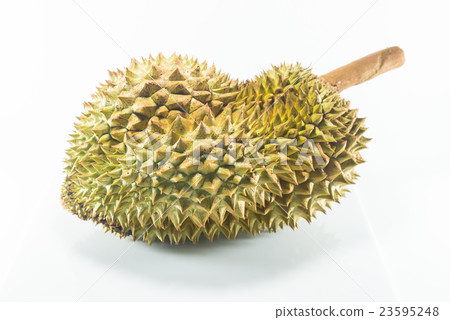 Durian 23595248
