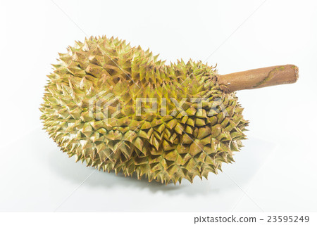 Durian Durian 23595249