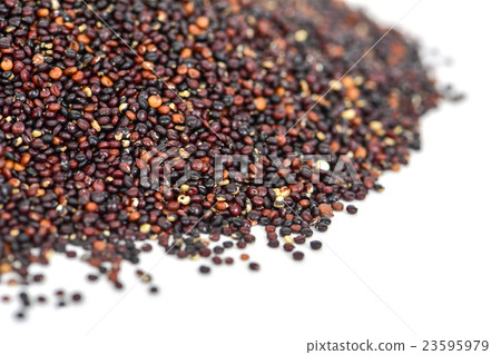 black quinoa seeds black quinoa seeds 23595979