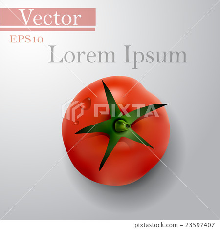 tomato top side background 23597407