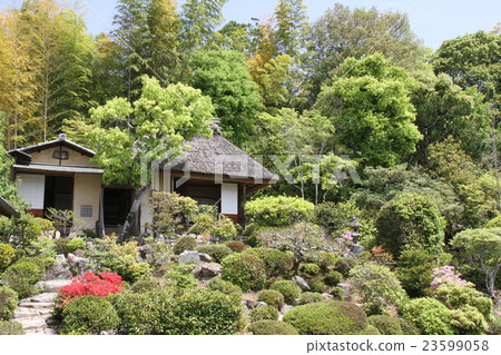 College hospital 23599058