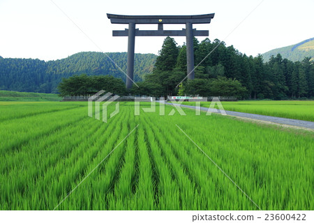 KumanoHonkyō神社Otorii 23600422