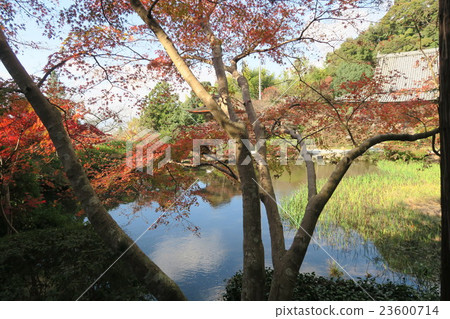 ChoTakeshitera ChoTakeshitera 23600714
