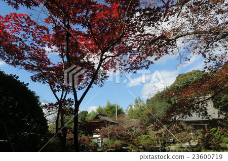 ChoTakeshitera 23600719