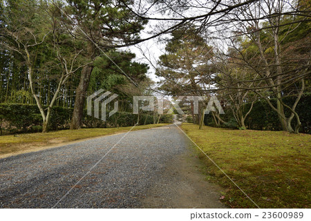 通往Katsura Rikyu大門的道路 通往Katsura Rikyu大門的道路 23600989