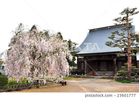 興福：長岡家族Honjin 23601777