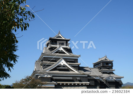 Kumamoto Castle in the blue sky Castle tower Kumamoto 23602384