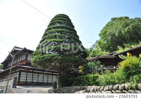 Akazawa Inn的街道① Akazawa Inn的街道① 23603791