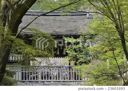 Bishamon-do Tectonic Gate 23603893