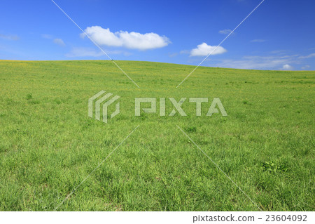 上富良野町，北海道大草原和雲 23604092