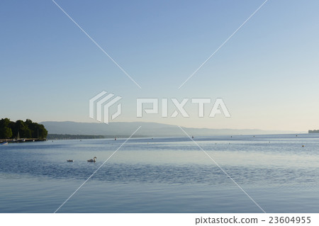 The landscape of Lake Geneva The landscape of Lake Geneva 23604955
