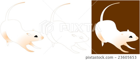 Mus musculus - Stock Illustration [23605653] - PIXTA