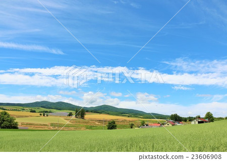 Summer landscape in Hokkaido Summer landscape in Hokkaido 23606908
