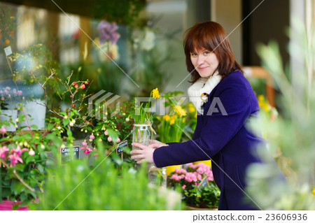 Beautiful woman selecting flowers at flower market Beautiful woman selecting flowers at flower market 23606936