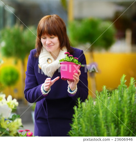 Beautiful woman selecting flowers at flower market Beautiful woman selecting flowers at flower market 23606946