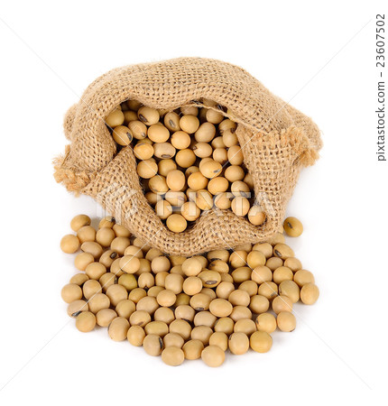 Soy bean with sack isolated on white background Soy bean with sack isolated on white background 23607502
