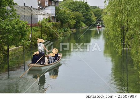 Yanagawa Oguriguri 23607997