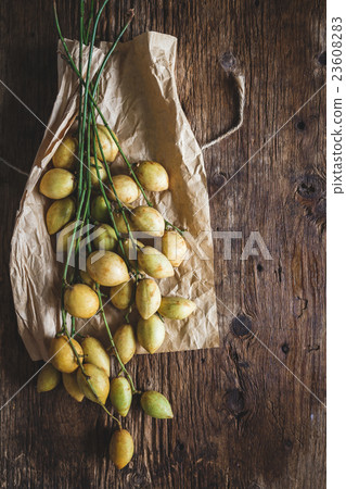 Baccaurea ramiflora 23608283