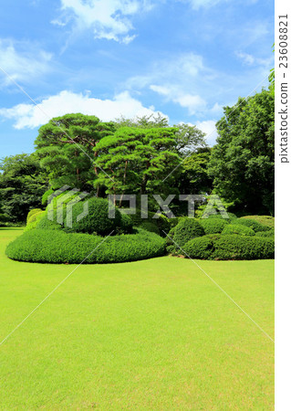 House House House Garden(7月)千葉縣松戶市 House House House Garden(7月)千葉縣松戶市 23608821