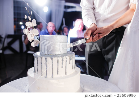 Bride and Groom at Wedding Reception Cutting the Bride and Groom at Wedding Reception Cutting the 23609990