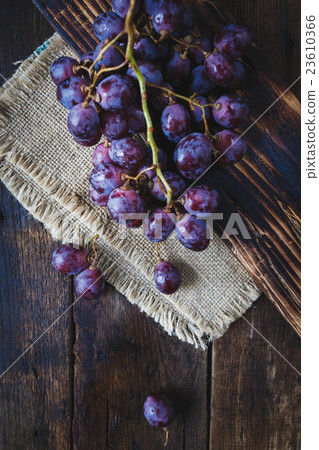 Purple Grapes Purple Grapes 23610366