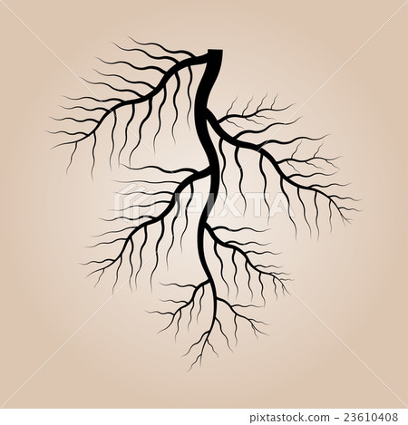 vector of roots - Stock Illustration [23610408] - PIXTA