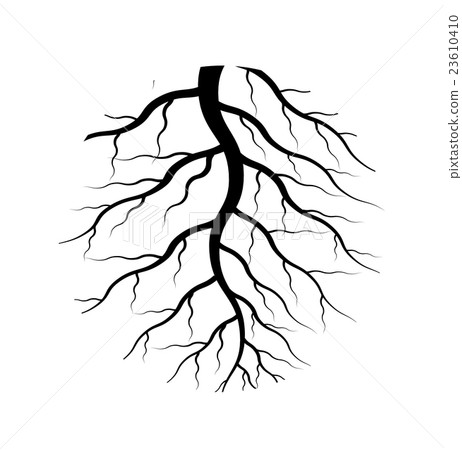 vector of roots 23610410