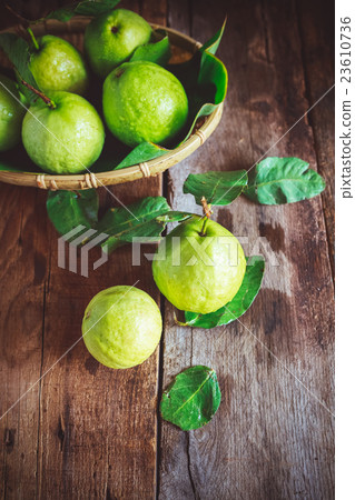 Green Guavas 23610736