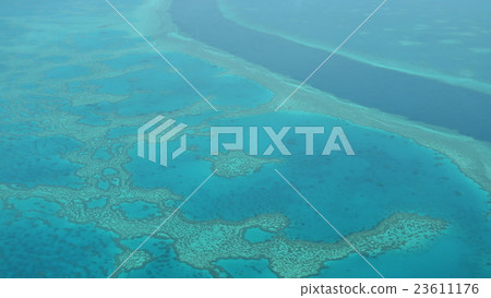 Great Barrier Reef  23611176