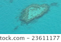 心臟礁 23611177