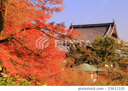 秋葉在Zenkoji(京都)區 秋葉在Zenkoji(京都)區 23611185