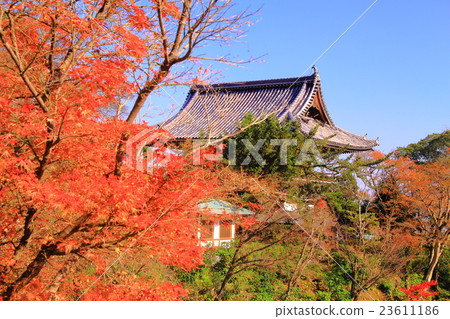 秋葉在Zenkoji（京都）區 23611186