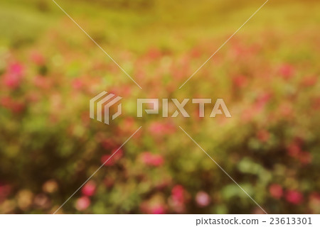 Spring meadow abstract bokeh background Spring meadow abstract bokeh background 23613301