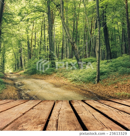 autumn forest and brown wooden deck table autumn forest and brown wooden deck table 23613329