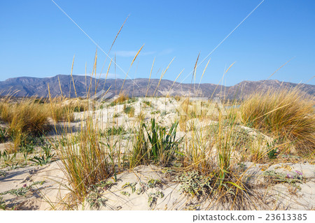 Elafonissi Beach on Crete, Greece 23613385