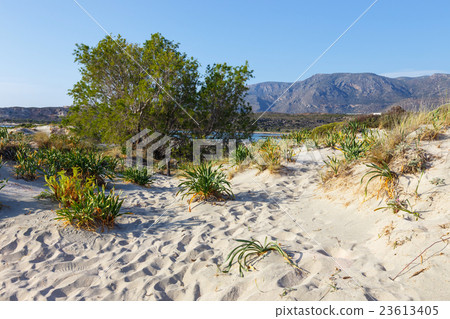 Elafonissi Beach on Crete, Greece 23613405