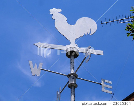 Wind chicken (chicken) Windmill 23615364