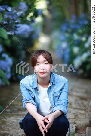 A young Japanese woman squatting at the approach of the hydrangea of the stone pavement that is in bloom 23616229