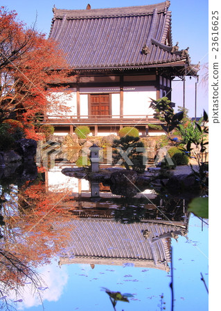 秋葉在Zenkoji（京都）區 23616625