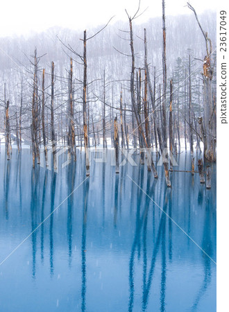 Blue pond Biei Hokkaido 23617049
