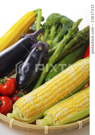 夏季蔬菜組圖像 夏季蔬菜組圖像 23617332