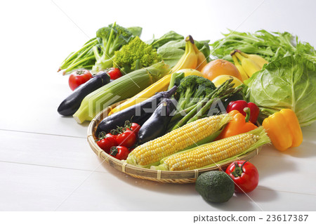 Image of a group of vegetables 23617387