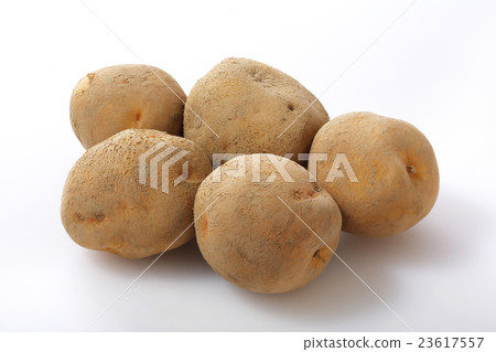 Potatoes 23617557