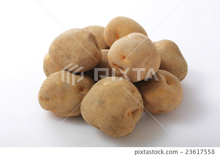 土豆 23617558