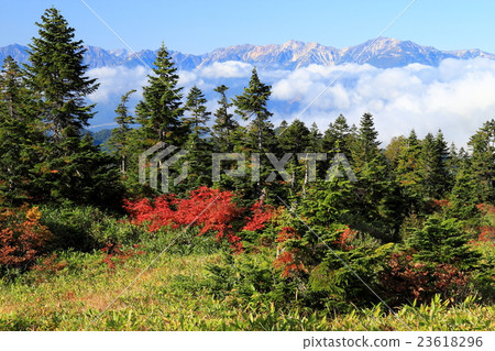 Hakuba mountain ranges on the cloud seen from the Tuyama / Takaya pond 23618296