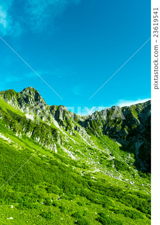 千疊敷捲曲 23619541